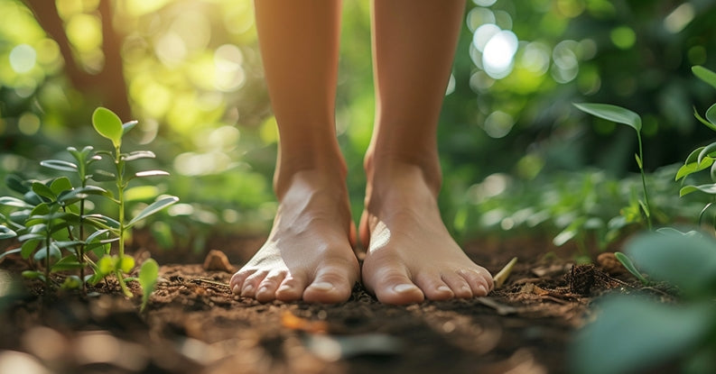 The effects of grounding (earthing) on inflammation, the immune response, wound healing, and prevention and treatment of chronic inflammatory and autoimmune diseases